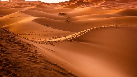 desert-maroc